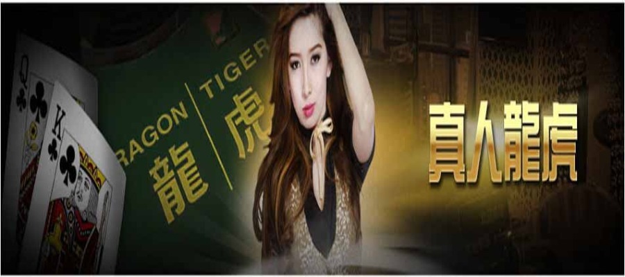玩現場龍虎遊戲，KU真人娛樂場獨特而吸引人的遊戲