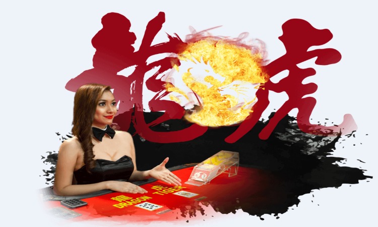 玩現場龍虎遊戲，真人娛樂場獨特而吸引人的遊戲